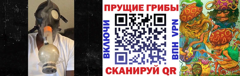 Галлюциногенные грибы Psilocybine cubensis  Псков 