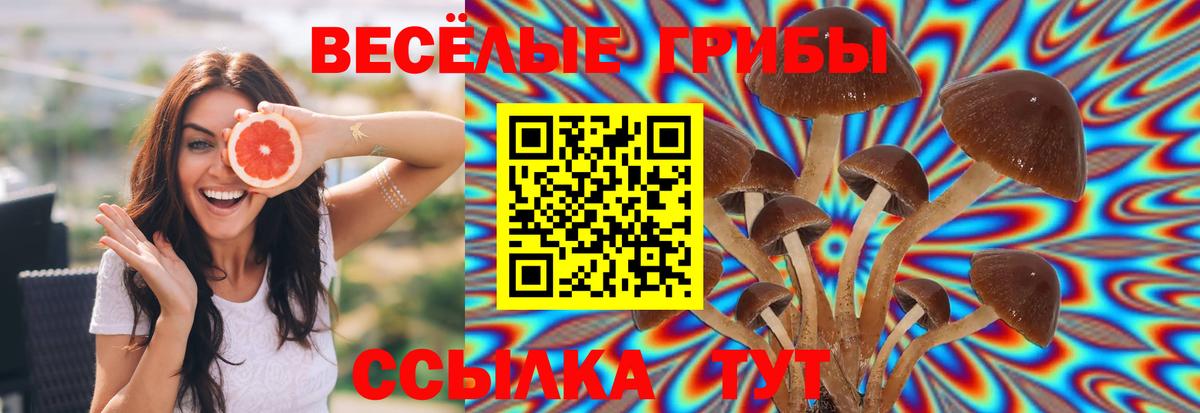 Галлюциногенные грибы MAGIC MUSHROOMS  как найти закладки  Псков  Вход с VPN 
